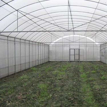 Szklarnia z wysokim tunelem w stylu gotyckim