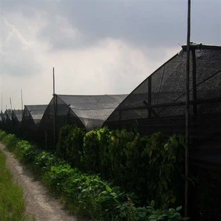 Zielona siatka zacieniająca przeciw promieniowaniu UV HDPE