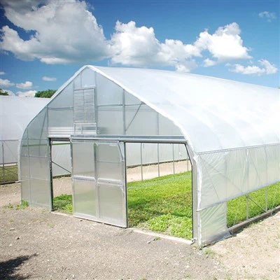 Spacer po szklarni tunelowej